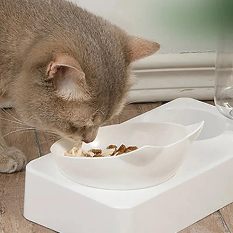 Tilted Pet Bowl Protects Neck