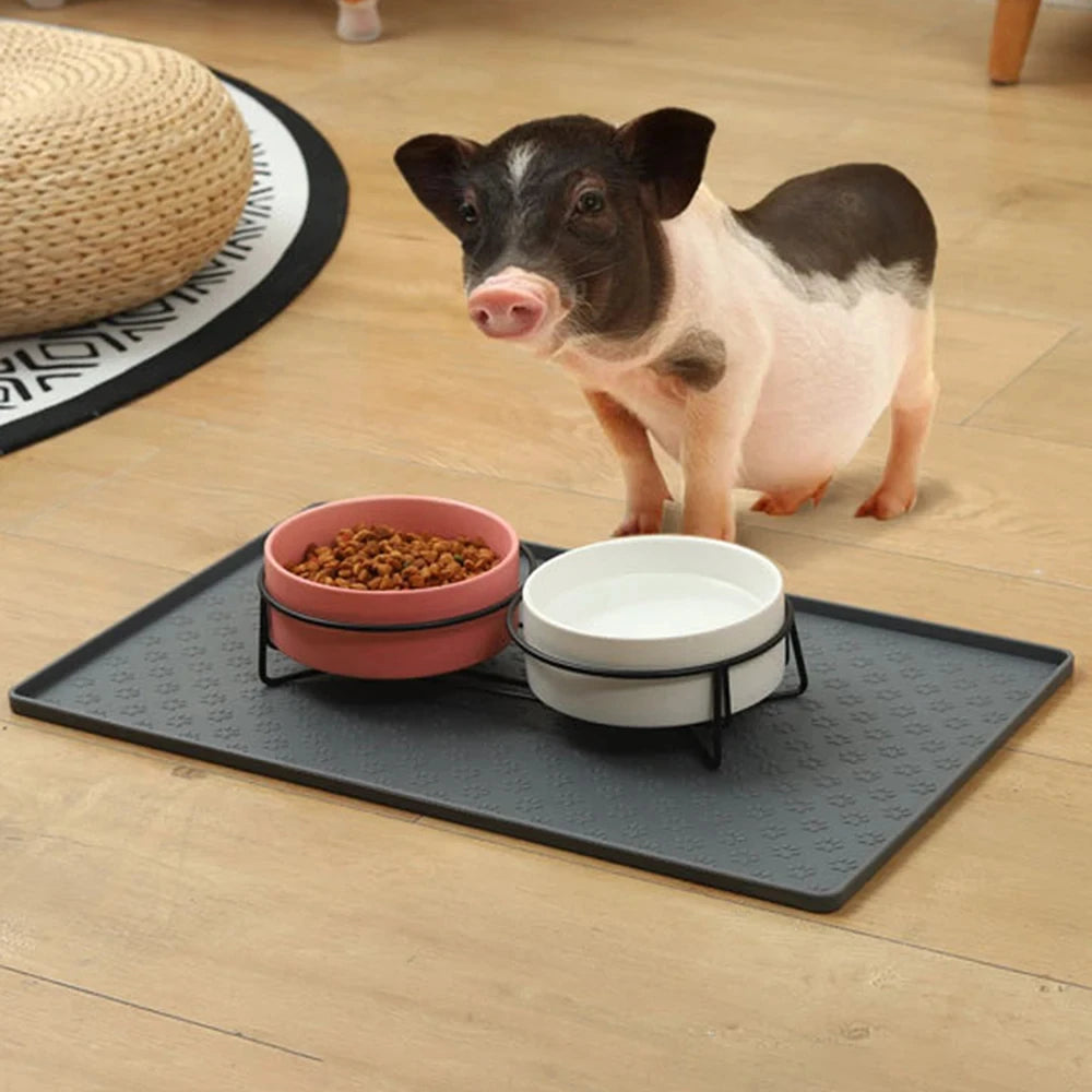 Non-Slip Silicone Pet Mat