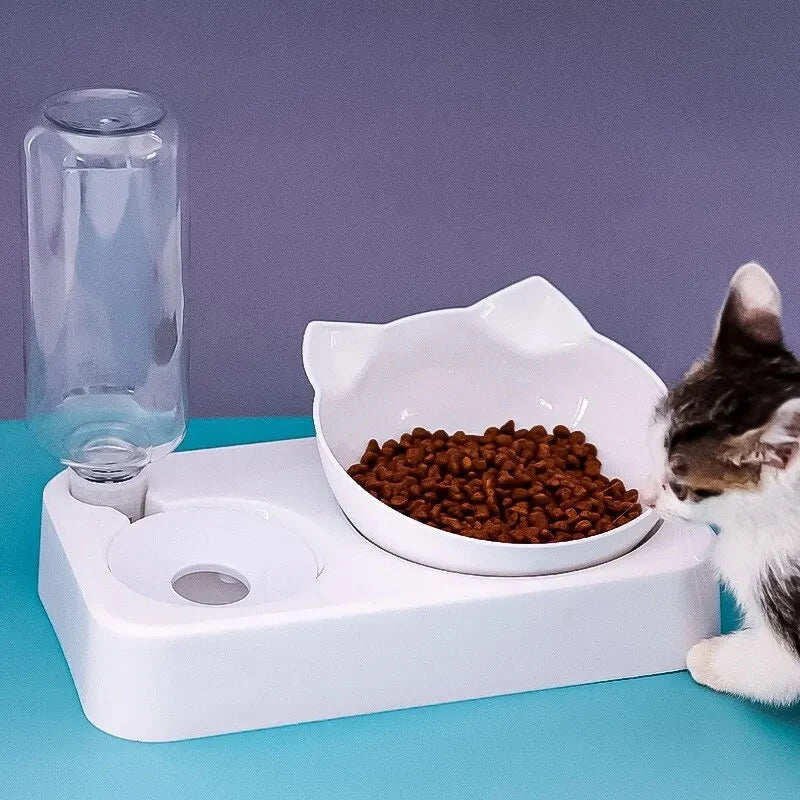 Tilted Pet Bowl Protects Neck