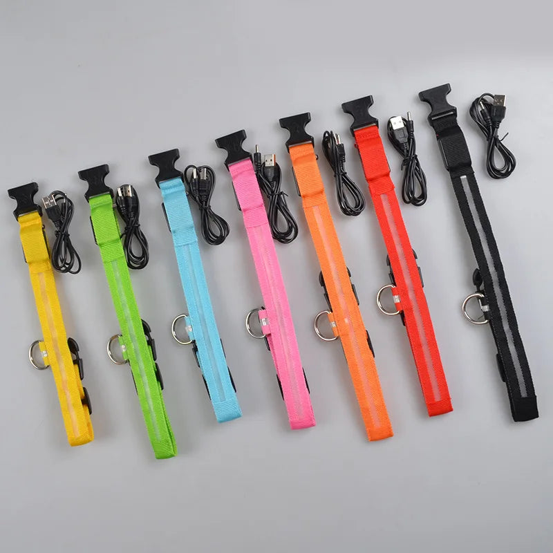 Luminous LED Dog Collar