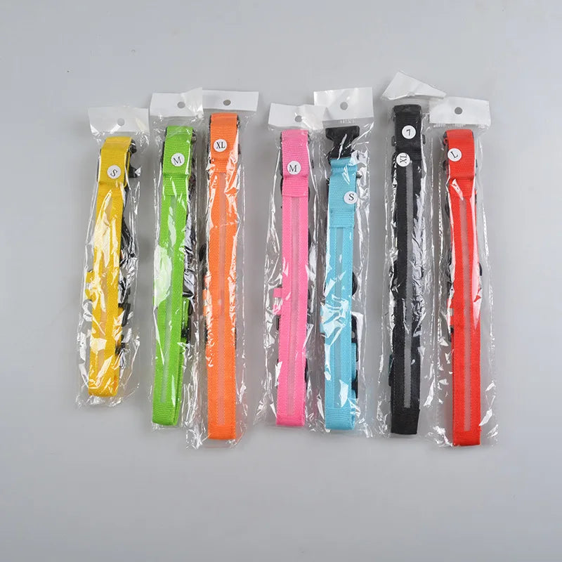 Luminous LED Dog Collar