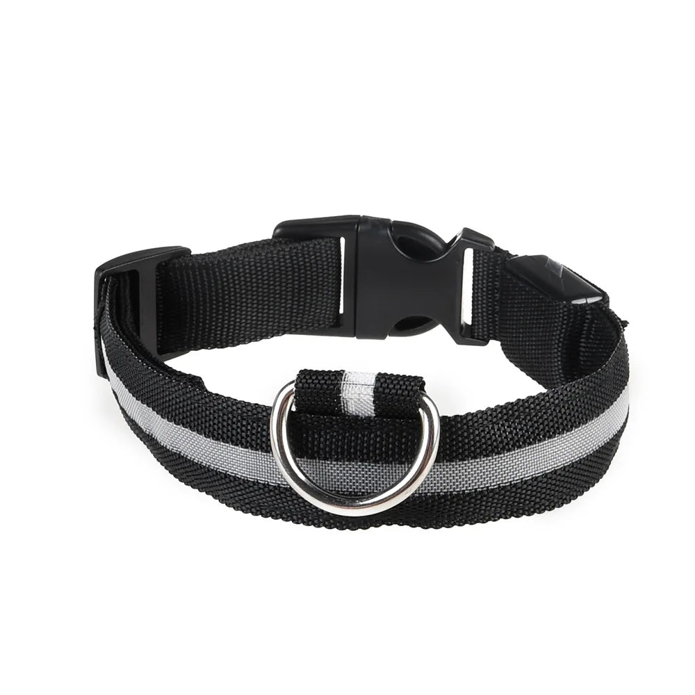 Luminous LED Dog Collar