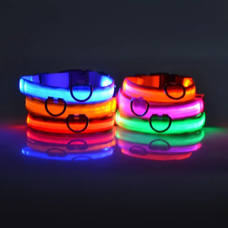 Luminous LED Dog Collar